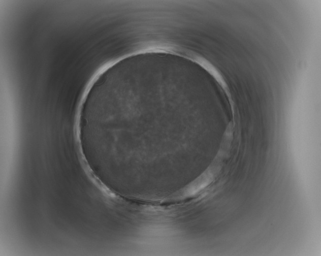 X0000114091104200910131251