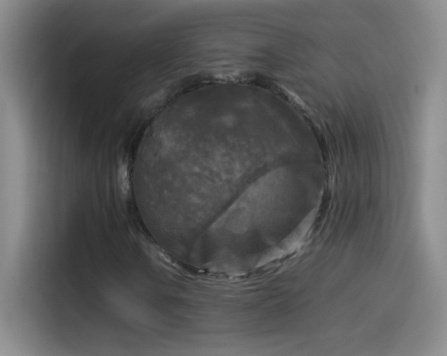 X0000114091106200910131251