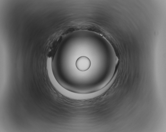 X0000114091108200910131251