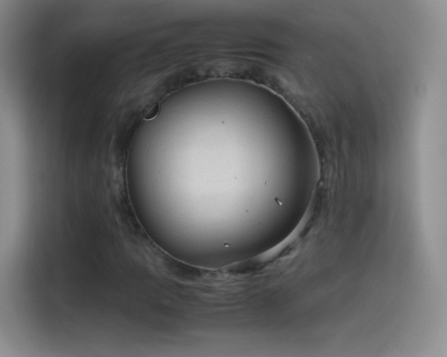 X0000114091109200910131251