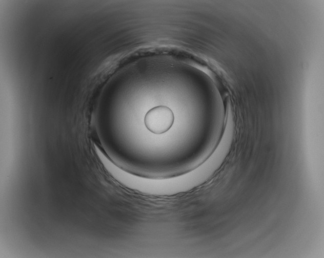 X0000114091110200910131251