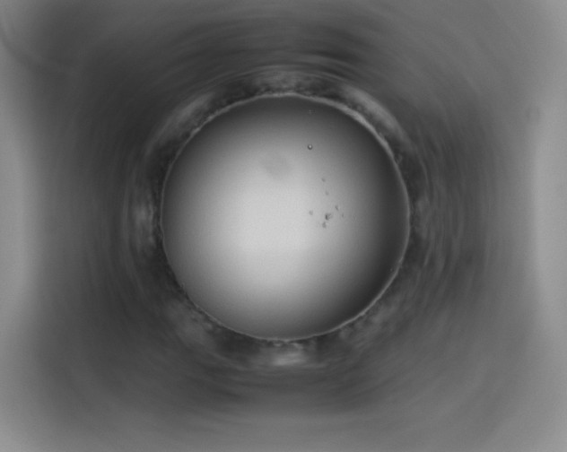 X0000114091111200910131251