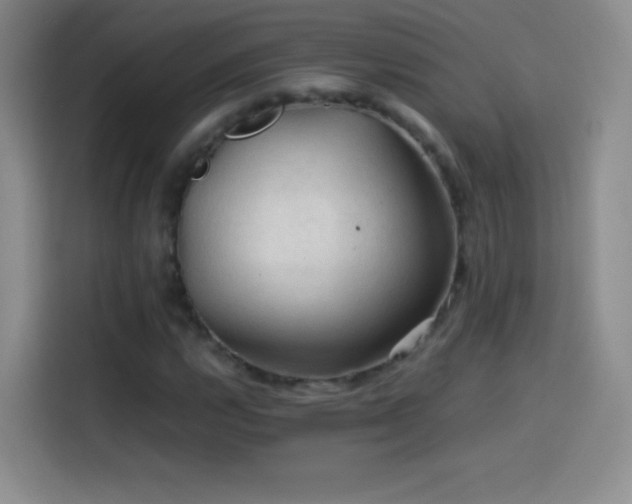 X0000114091112200910131251
