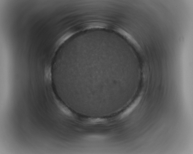X0000114091113200910131251