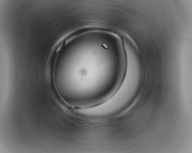 X0000114091114200910131251