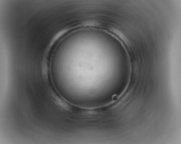 X0000114091115200910131251