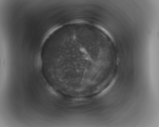 X0000114091117200910131251
