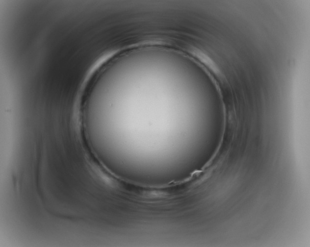 X0000114091119200910131251