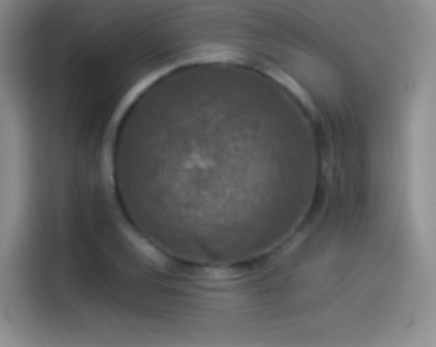 X0000114091120200910131251