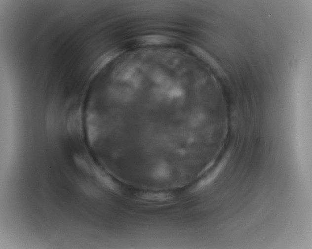 X0000114091121200910131251