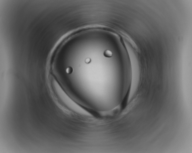 X0000114091124200910131251