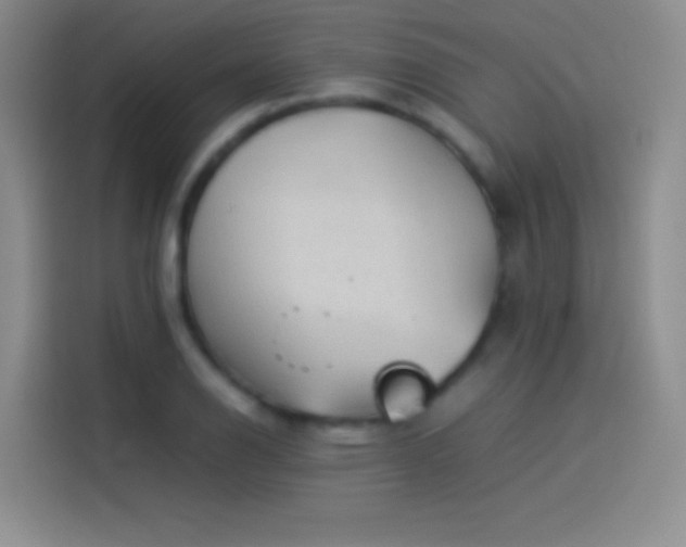 X0000114091126200910131251