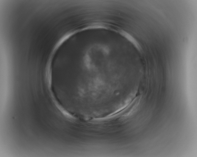 X0000114091127200910131251