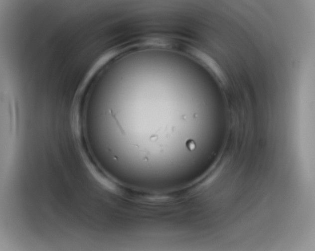 X0000114091131200910131251
