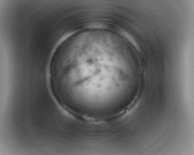 X0000114091133200910131251
