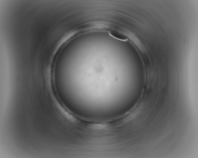 X0000114091134200910131251