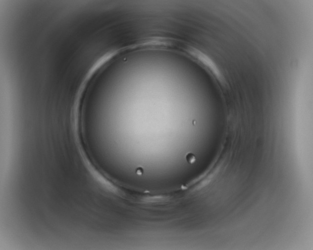 X0000114091135200910131251
