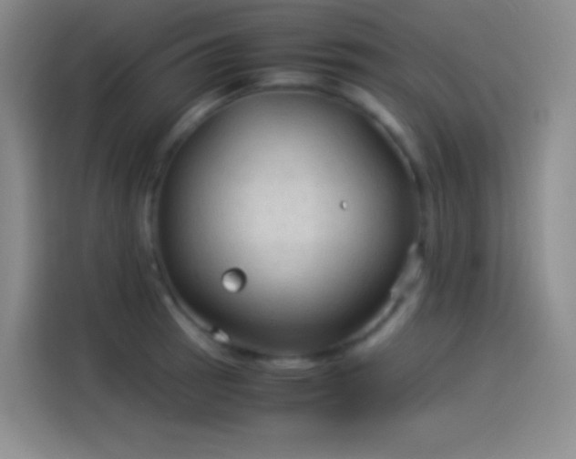 X0000114091137200910131251