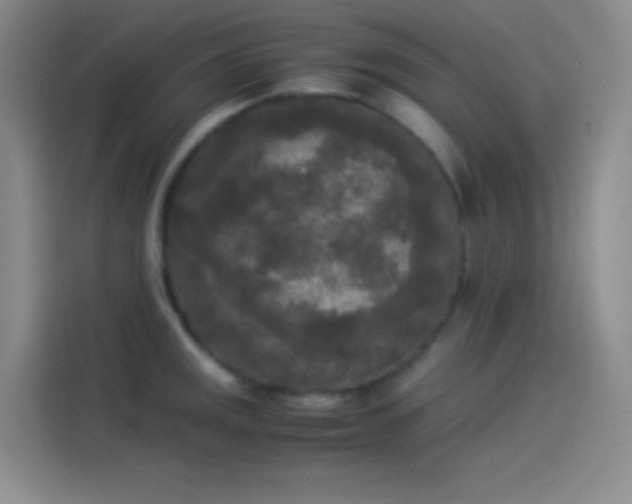 X0000114091141200910131251