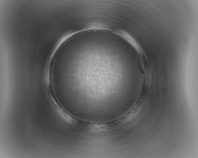 X0000114091148200910131251