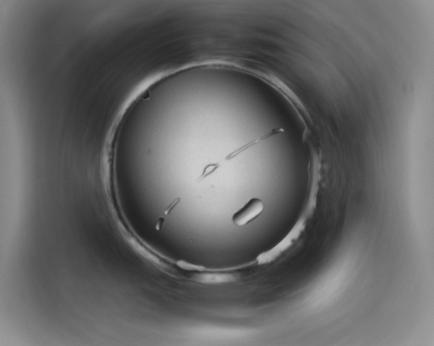 X0000114091151200910131251