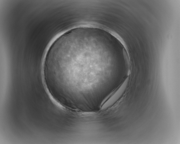 X0000114091152200910131251