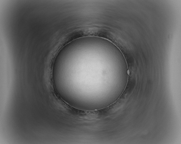 X0000114091153200910131251