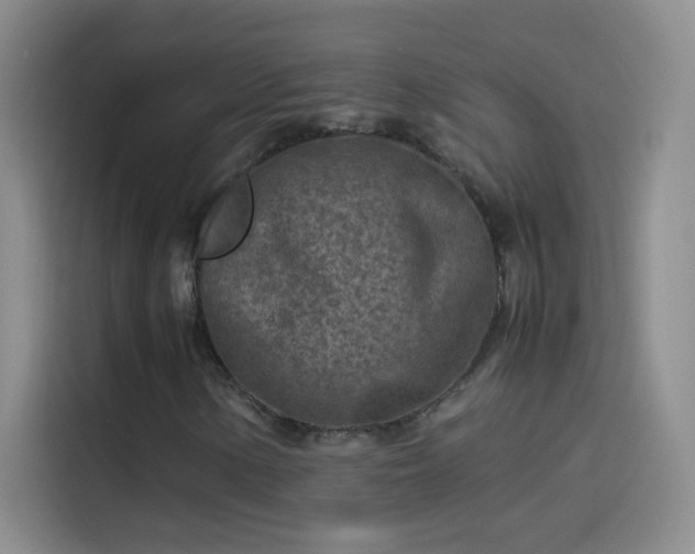 X0000114091154200910131251