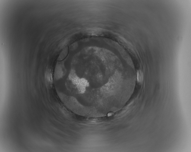 X0000114091155200910131251