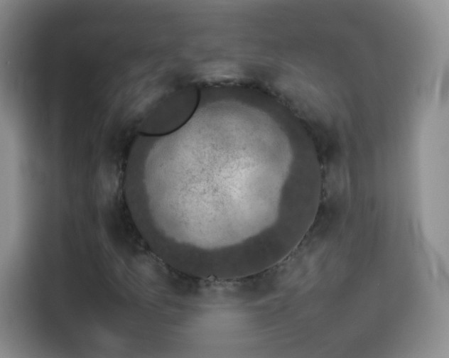 X0000114091157200910131251