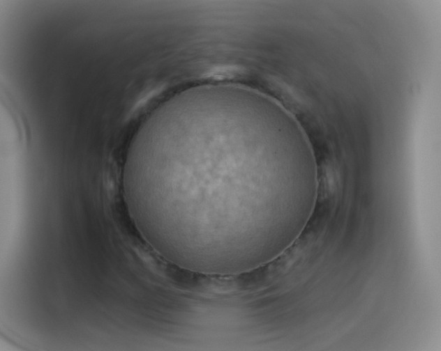 X0000114091158200910131251