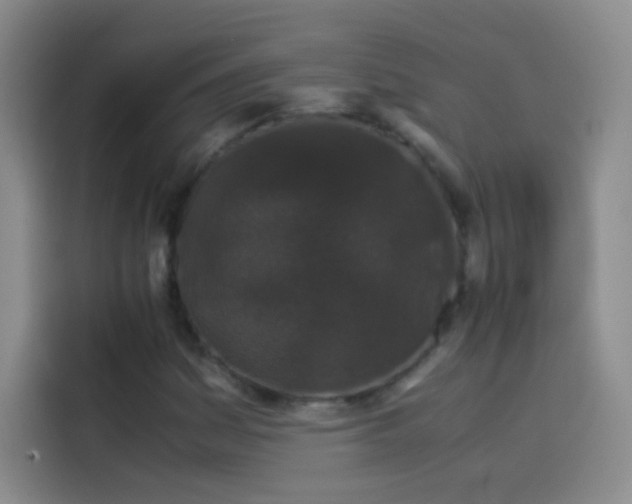 X0000114091161200910131250