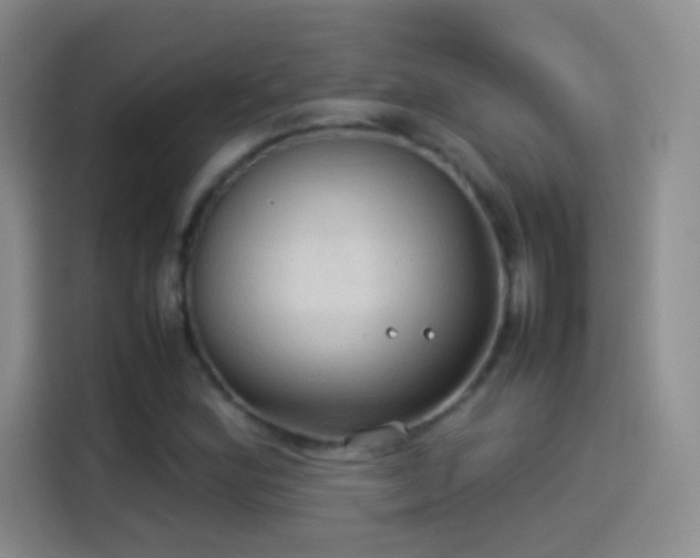 X0000114091164200910131250