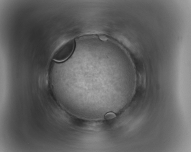 X0000114091165200910131250