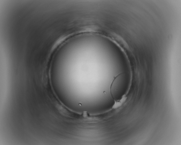 X0000114091168200910131250
