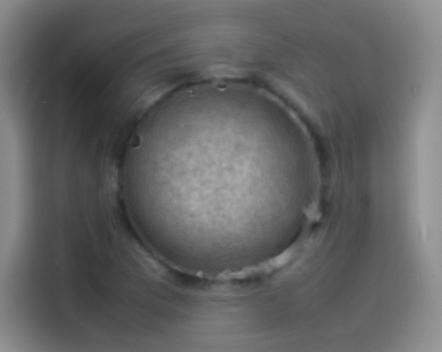 X0000114091169200910131250