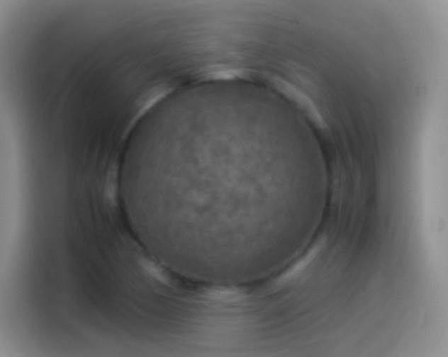 X0000114091170200910131250