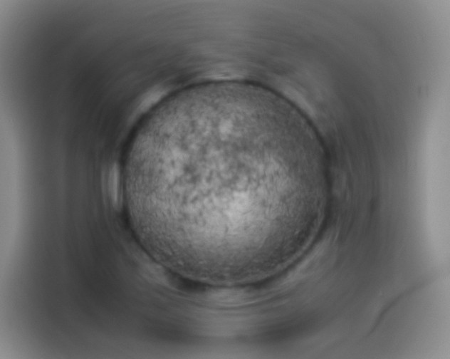 X0000114091171200910131250