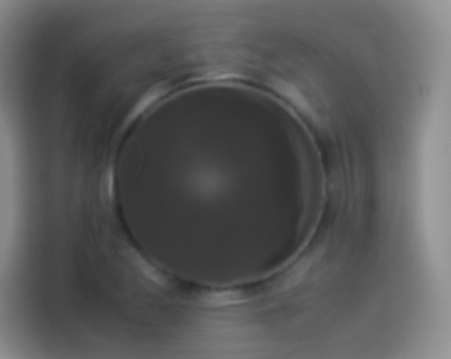 X0000114091173200910131250