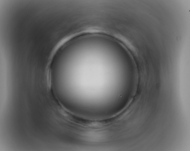 X0000114091175200910131250