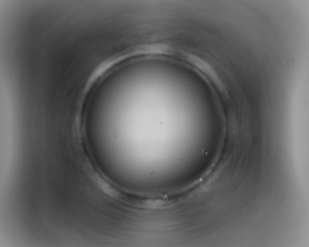 X0000114091176200910131250