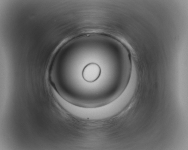 X0000114091181200910131250