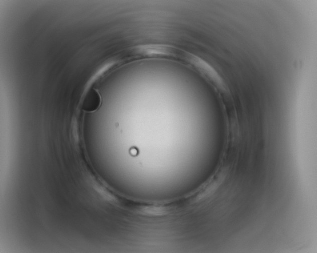 X0000114091182200910131250