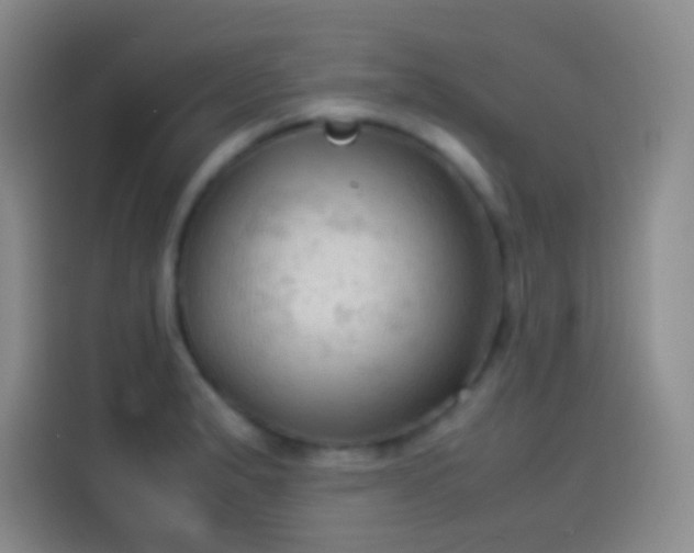 X0000114091183200910131250