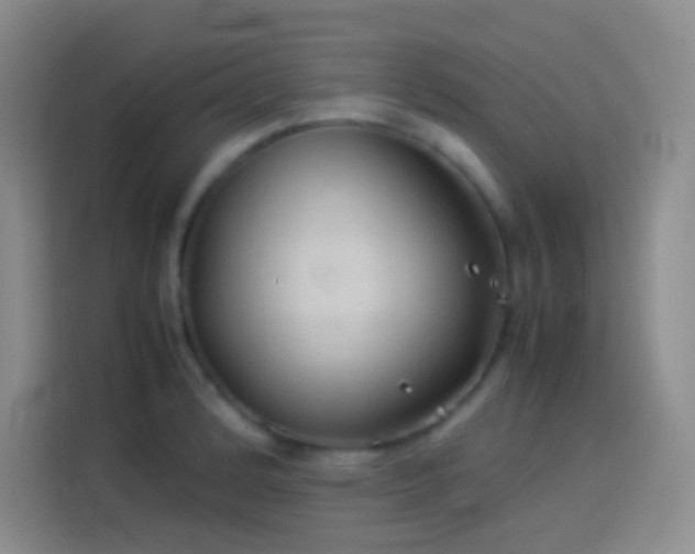 X0000114091184200910131250