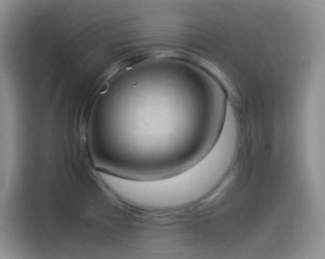 X0000114091185200910131250