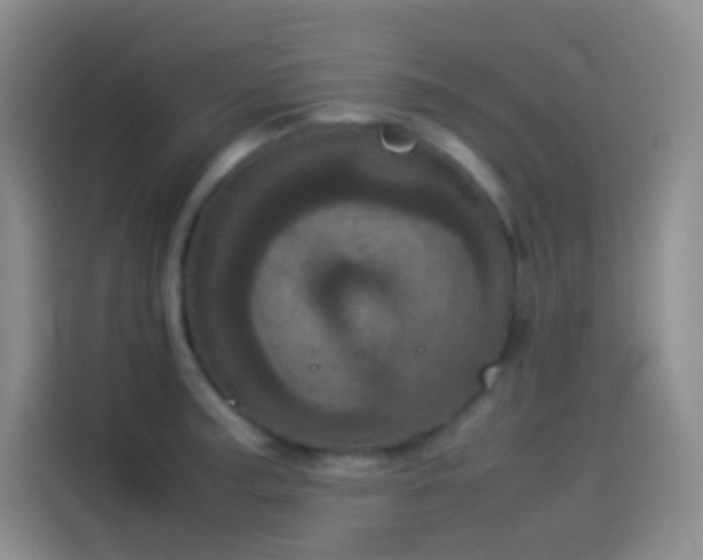 X0000114091187200910131250