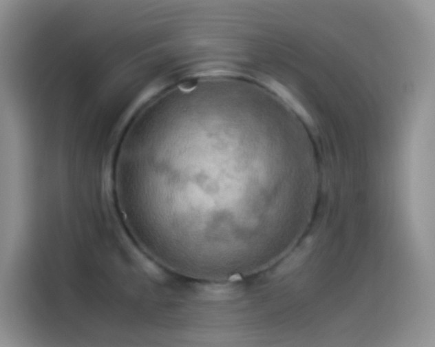 X0000114091189200910131250