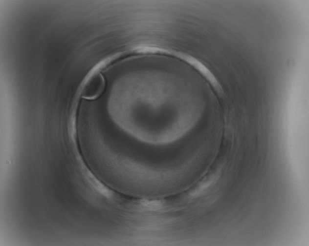X0000114091191200910131250