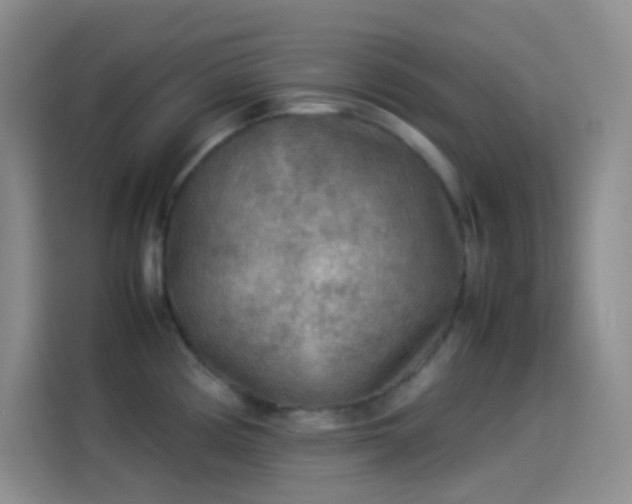X0000114091194200910131250